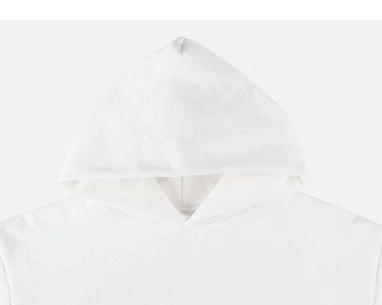 Sudadera con capucha gruesa de color liso para hombre: chaqueta informal holgada de estilo urbano para otoño e invierno T0072