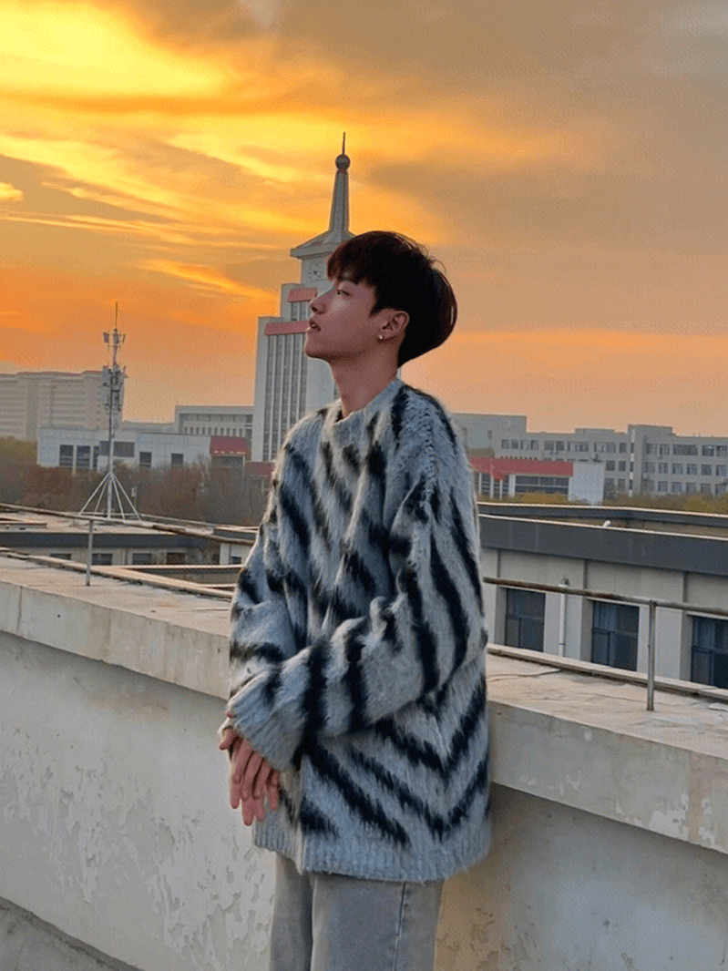 [XXXHOT] Zebra Pattern Mohair Sweater S0198
