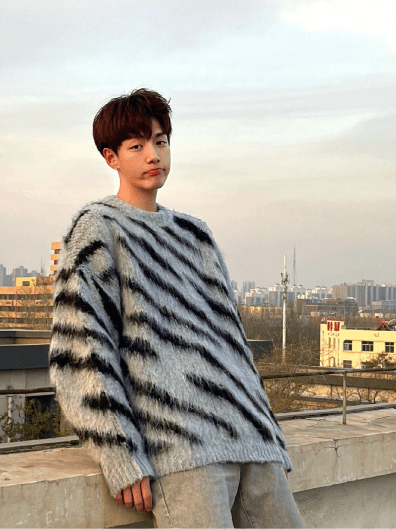 [XXXHOT] Zebra Pattern Mohair Sweater S0198